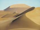 desert_5_small.jpg