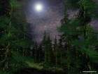 forets_6_small.jpg