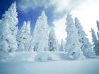 neige_15_small.jpg