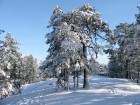 neige_20_small.jpg