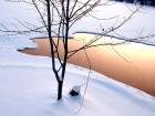 neige_9_small.jpg