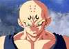 krigeta_petit_small.jpg