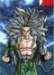 ssj6_petit_small.jpg